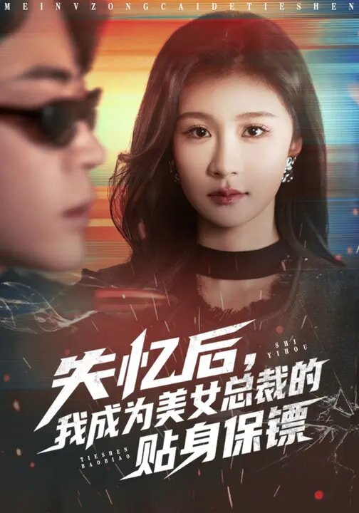 失忆后,我成为美女总裁的贴身保镖海报
