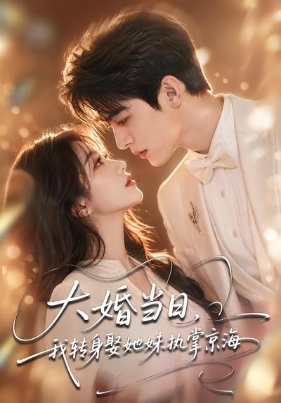 大婚当日,我转身娶她妹执掌京海海报