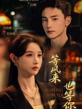 等风来,也等你海报