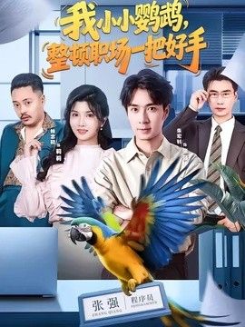 我小小鹦鹉,整顿职场一把好手海报
