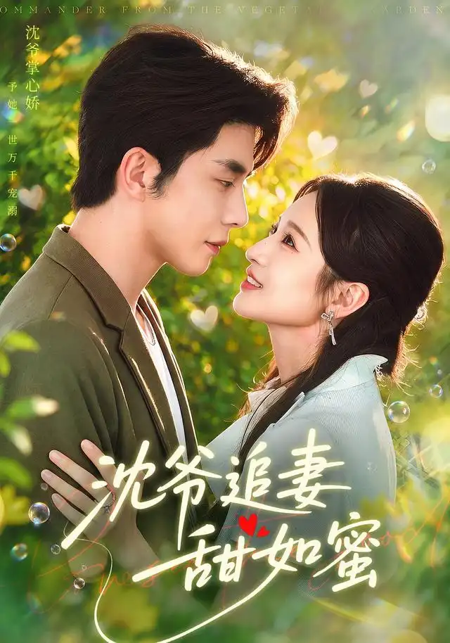 沈爷追妻甜如蜜海报