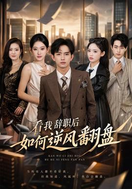 看我辞职后如何逆风翻盘海报
