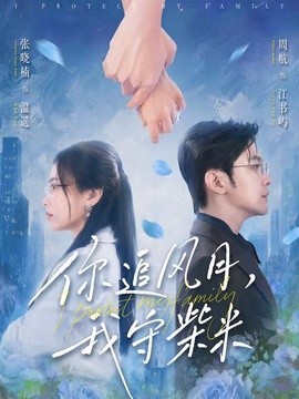你追风月,我守柴米海报