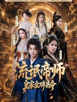 流氓帝师,皇家金牌县令海报