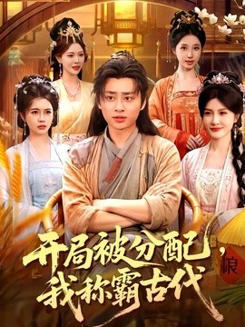 开局被分配,我称霸古代海报