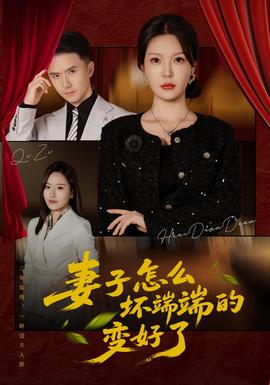 妻子怎么坏端端的变好了海报