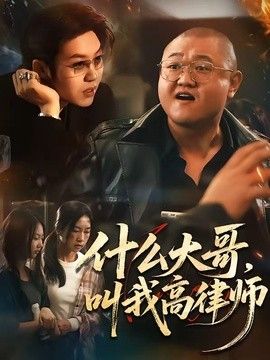 什么大哥,叫我高律师海报