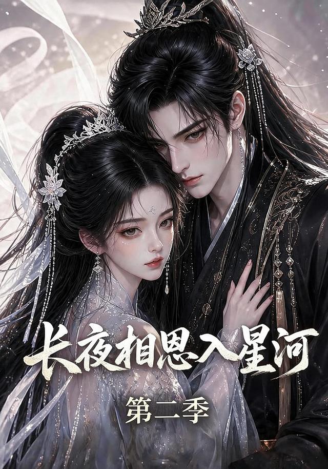 长夜相思入星河海报