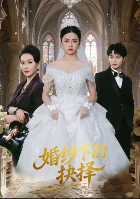 婚纱下的抉择海报
