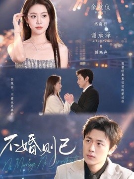 不婚则已海报
