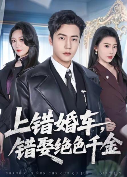 上错婚车,错娶绝色千金海报