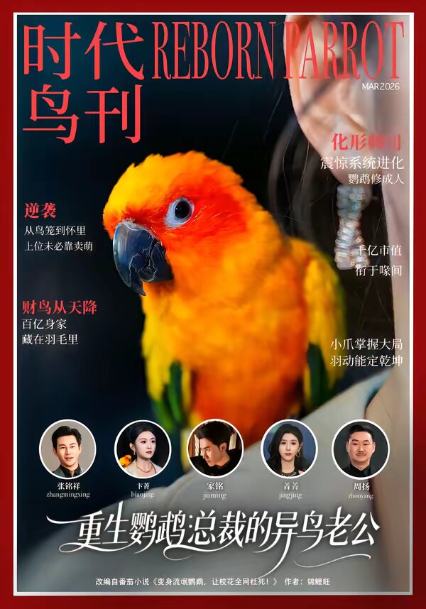 重生鹦鹉:总裁的异鸟老公海报