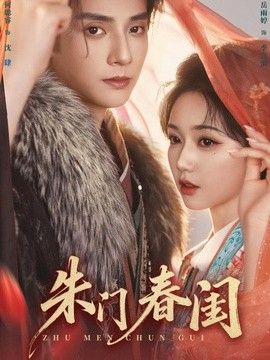 朱门春闺海报
