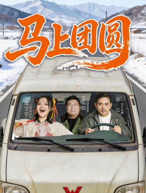 马上团圆海报