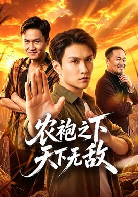 农袍之下天下无敌海报