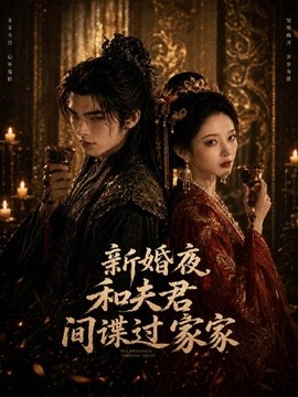 新婚夜和夫君间谍过家家海报