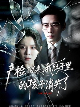 产检醒来,我肚子里的孩子消失了海报