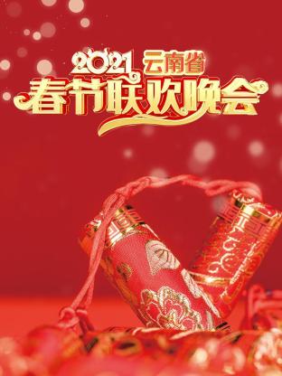 云南省春节联欢晚会海报
