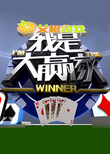 我是大赢家海报