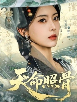 天命照骨海报