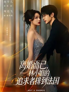离婚而已,林小姐的追求者排到法国海报