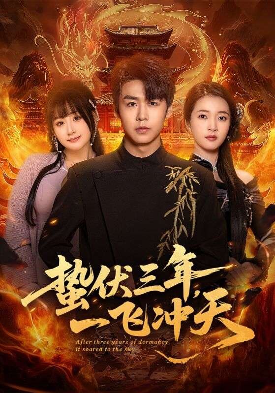 蛰伏三年,一飞冲天海报