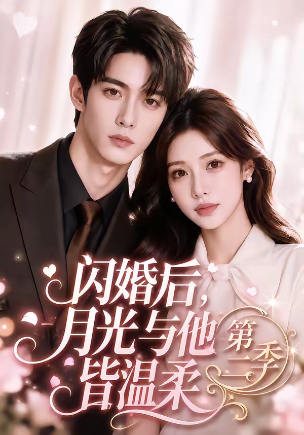 闪婚后,月光与他皆温柔海报