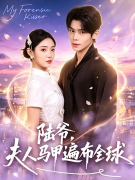 陆爷,夫人马甲遍布全球海报