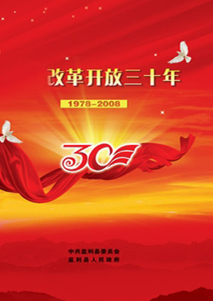 改革开放三十年论坛中国力量海报