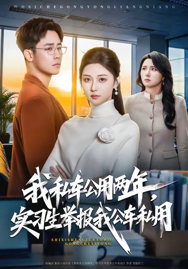 我私车公用两年,实习生举报我公车私用海报