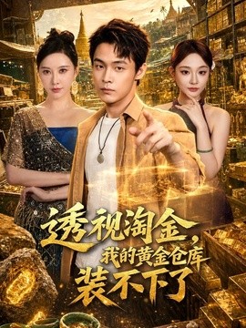 透视淘金,我的黄金仓库装不下了海报