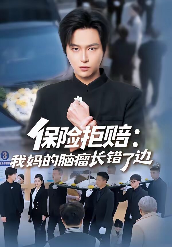 保险拒赔:我妈的脑瘤长错了边海报