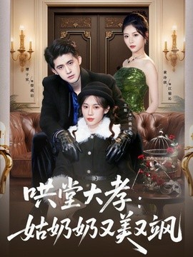 哄堂大孝:姑奶奶又美又飒海报