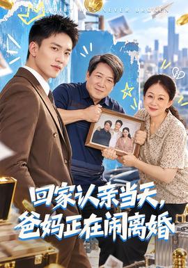 回家认亲当天,爸妈正在闹离婚海报