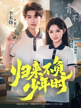 归来不负少年时海报