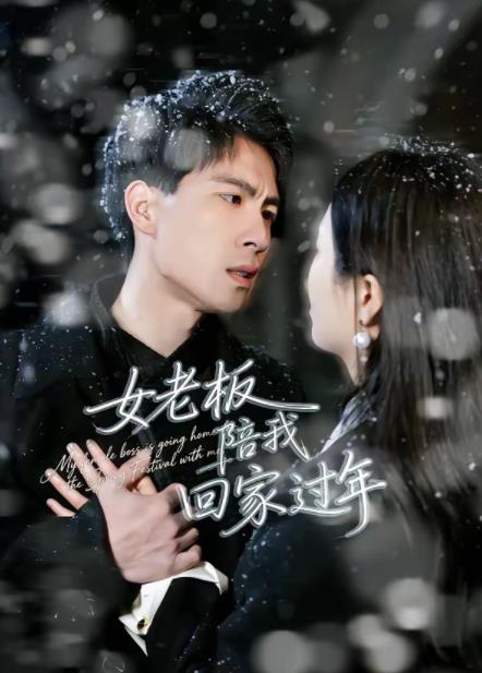 女老板陪我回家过年海报