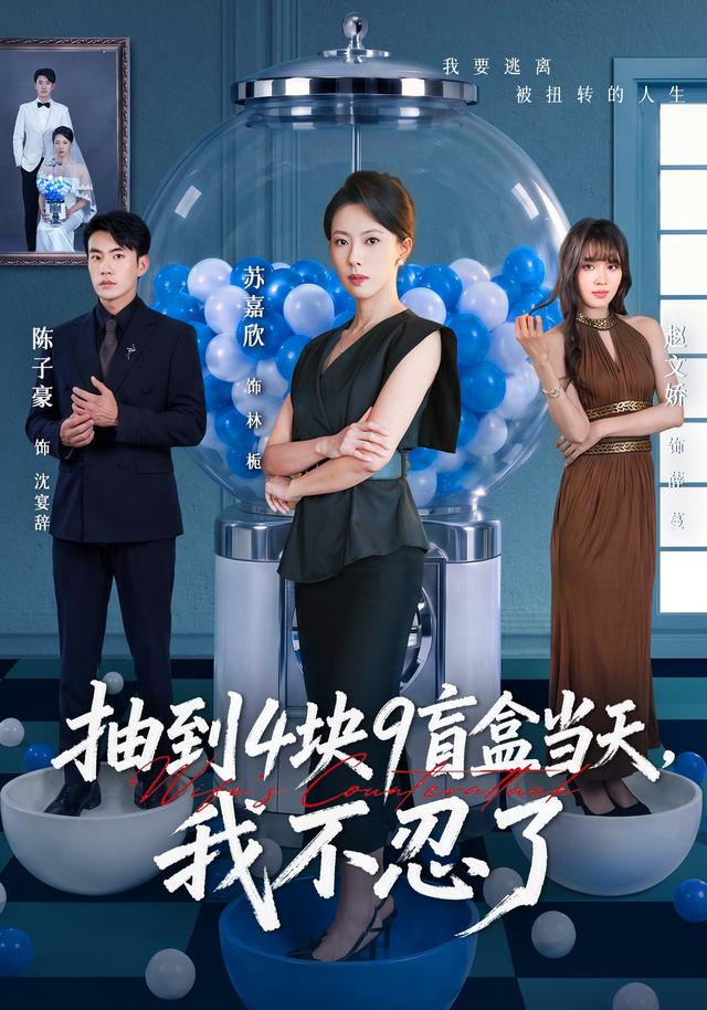 抽到4块9盲盒当天,我不忍了海报