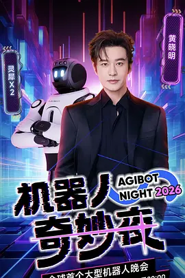机器人奇妙夜海报