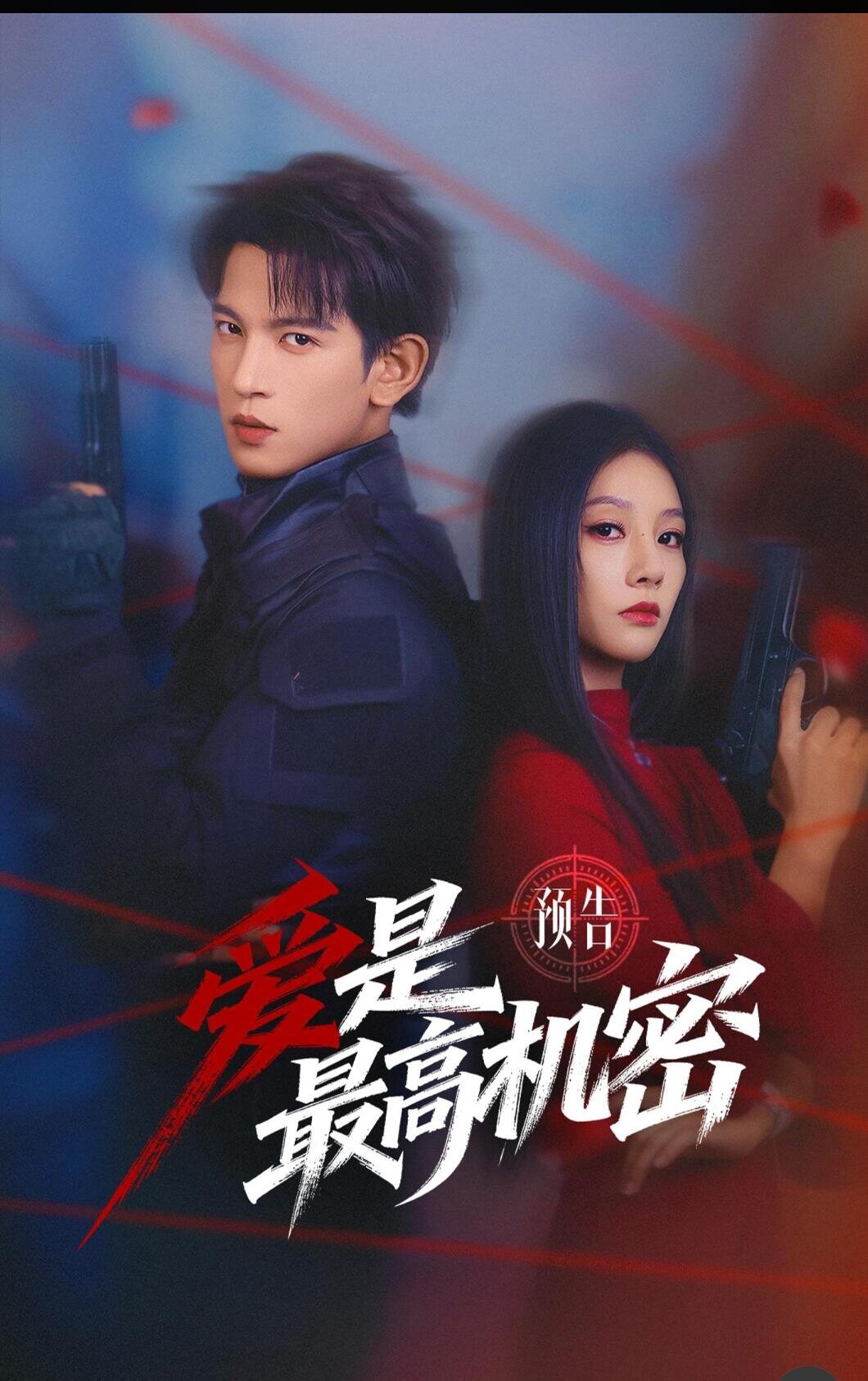 爱是最高机密海报