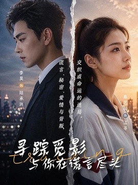 寻踪觅影:与你在谎言尽头海报