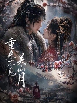 重来不见关山月海报