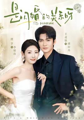 是闪婚的关系呀海报