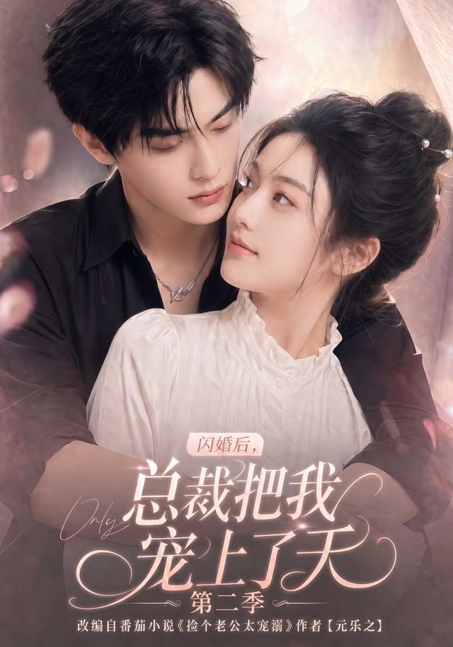 闪婚后,总裁把我宠上了天海报