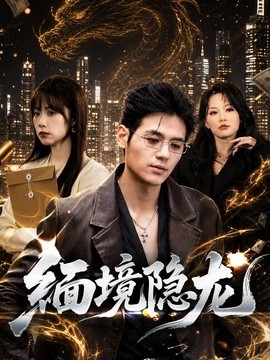 缅境隐龙海报