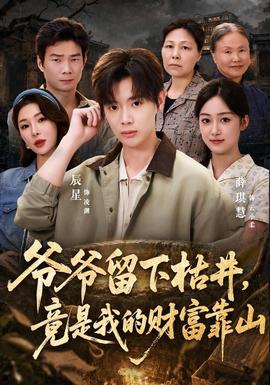 爷爷留下枯井,竟是我的财富靠山海报