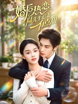 婚后热恋陆先生追妻有点甜海报