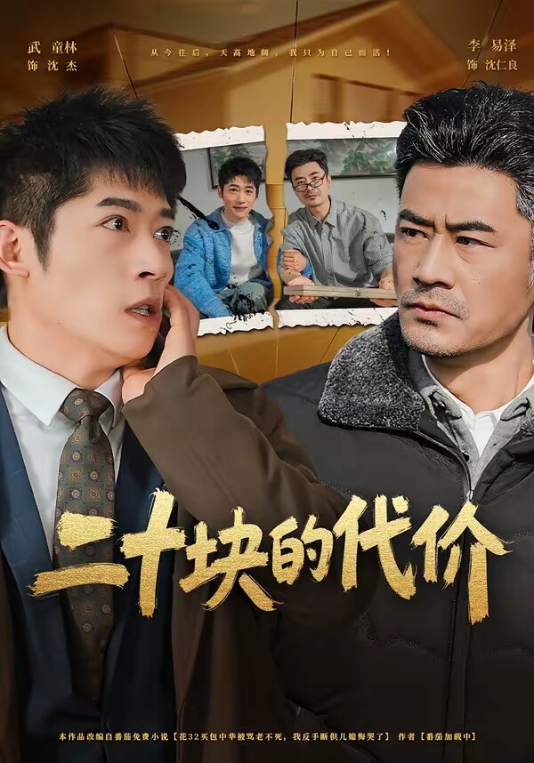 二十块的代价海报