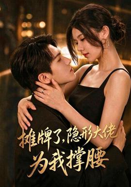 摊牌了,我的男友隐形大佬海报