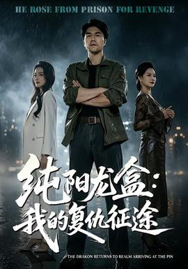 纯阳龙盒:我的复仇征途海报