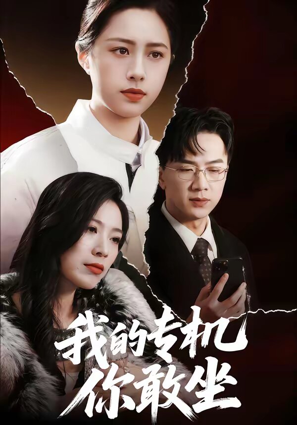我的专机你敢坐海报